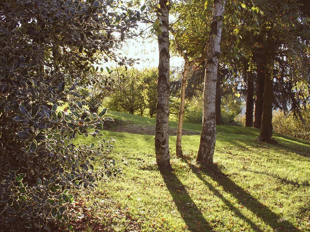 Cascina Langa Pensionat Trezzo Tinella Eksteriør billede
